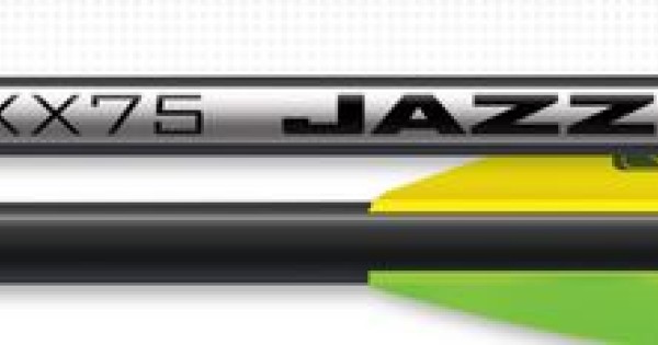 Lot de 12 flèches en aluminium Easton XX75 Legacy avec l'ancien logo